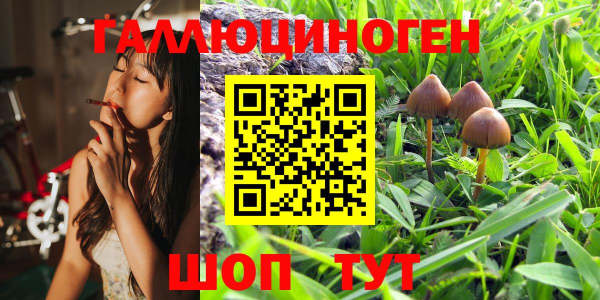 Псилоцибиновые грибы Magic Shrooms Клинцы