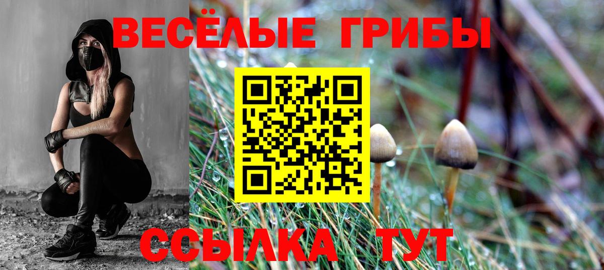 Галлюциногенные грибы MAGIC MUSHROOMS  Вход с VPN  Псилоцибиновые грибы Cubensis  Клинцы 